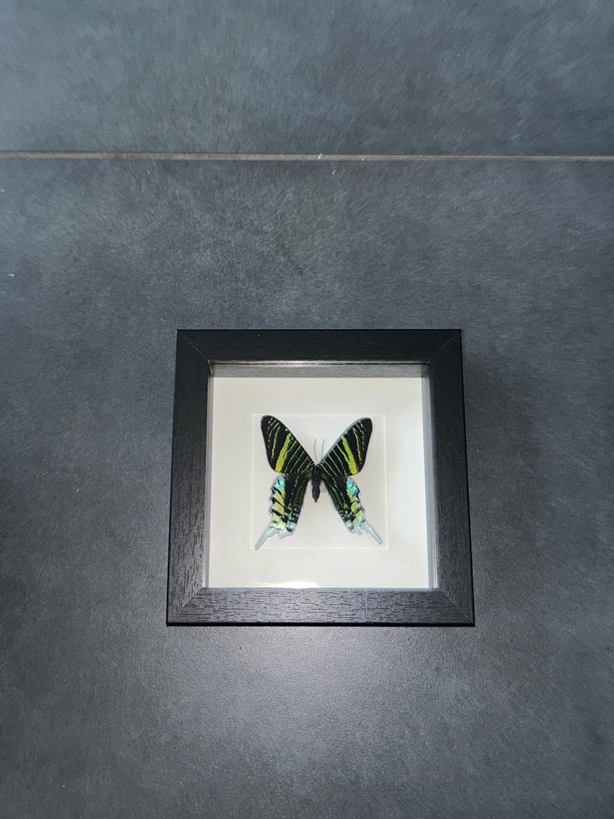 Jade Frame - Small
