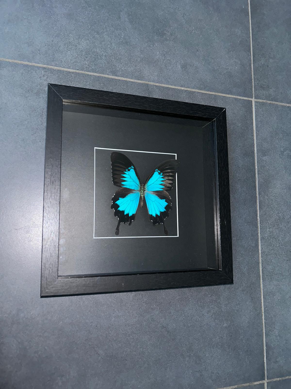 Jade Frame - Large
