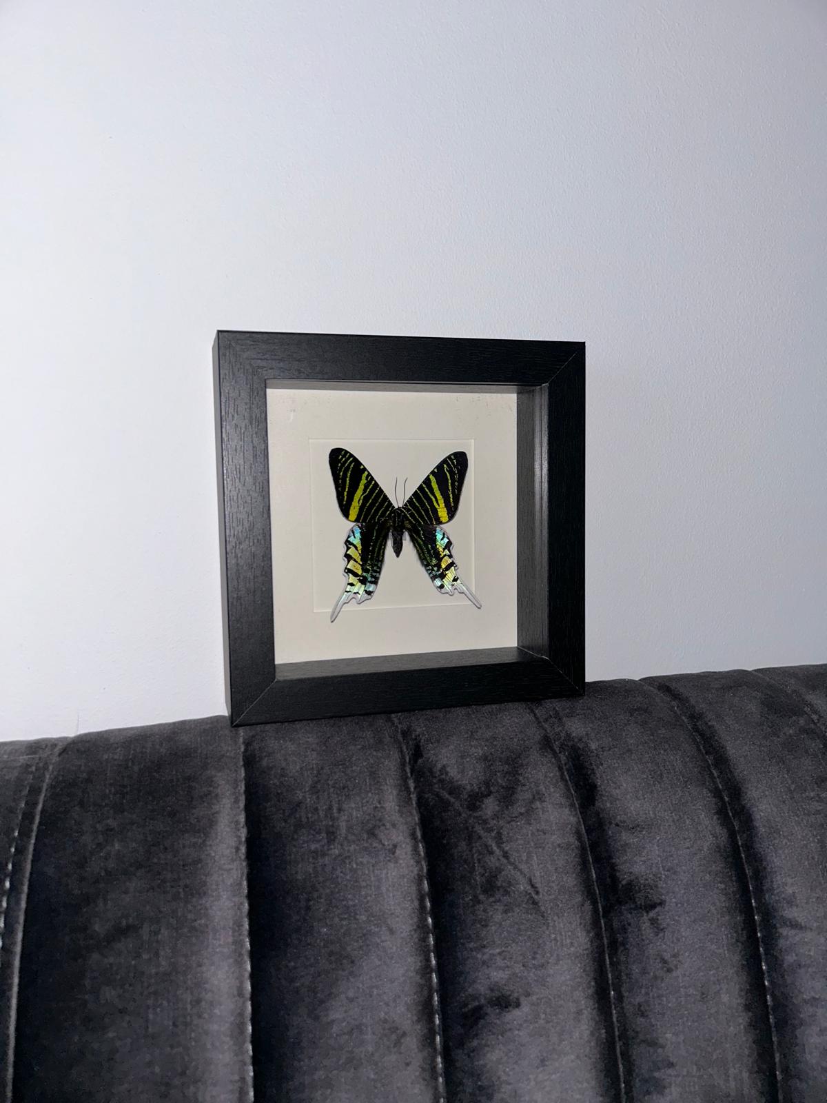 Jade Frame - Small